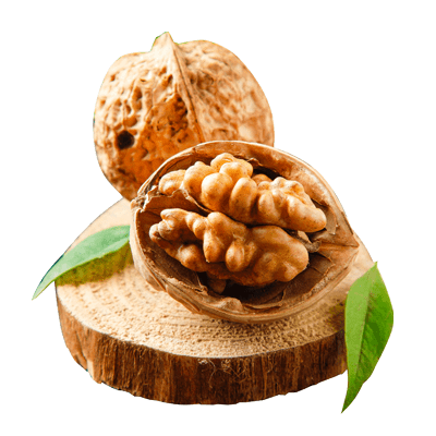 نهال گردو ژنوتیپ تیپ 9